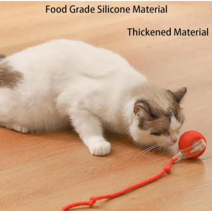 Pets Ball Toy