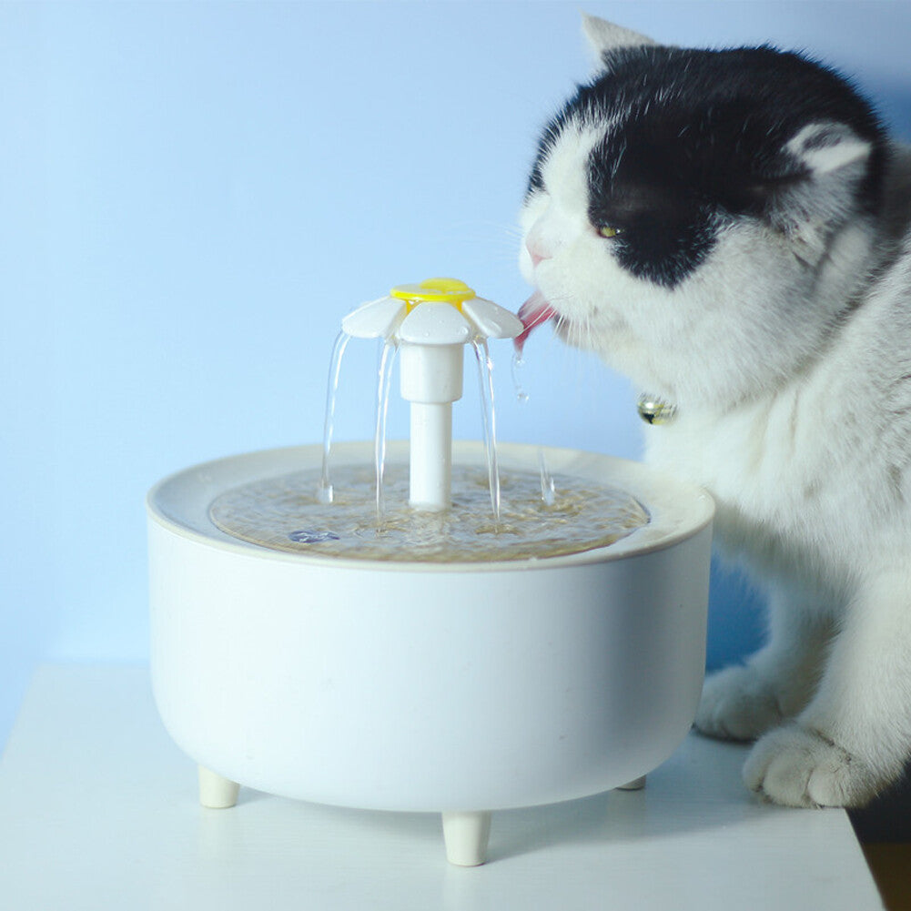 Pets Water Fountain